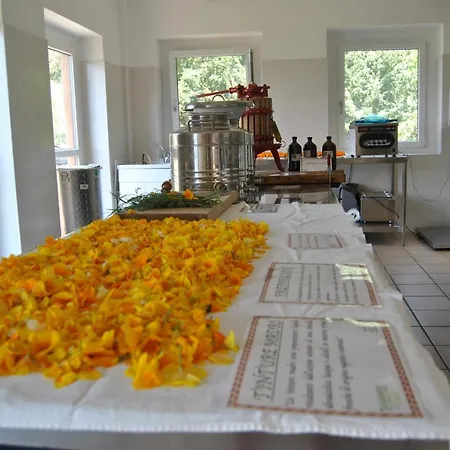 Ca' Dei Fazzilisti Bed & Breakfast *